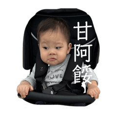Baby可頌II