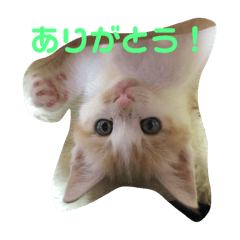 akira_20241217174209
