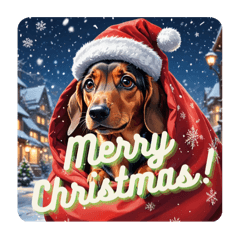 White Christmas with a Dachshund