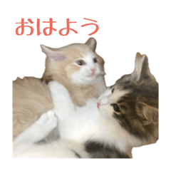 あんマロスタンプ