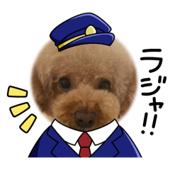 Miko_20241217210359