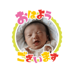 yagi_20241217161213