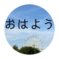 MARI_20241214173313