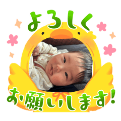 emi.a_20241217201418