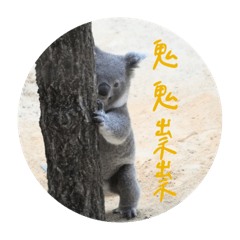 喂熊 2