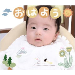 sakusan100days20241217