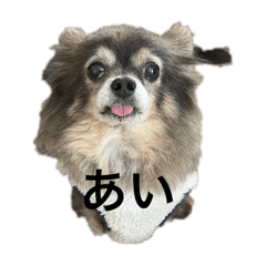 choco_20241217194210