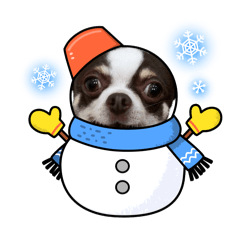 nao_20241217231037