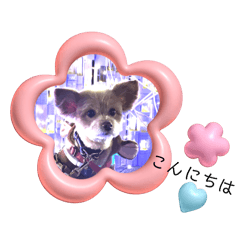 mimi_20241218014015