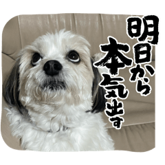 misaki_20241218041410