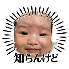 mai_20241218082726