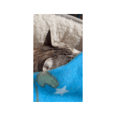 kim_20241218103803