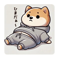 chubby Shiba dog1