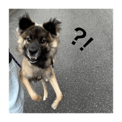 Mimi_20241218121928