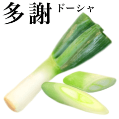 Extra green onion 7