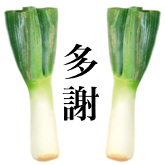 Extra green onion 8