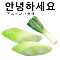 Extra green onion 11