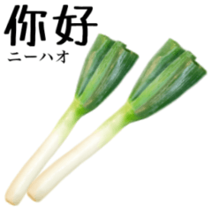 Extra green onion 12