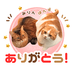 Ponzu and Mirin stickers easy to use 2