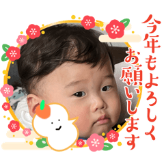 koto_20241218161517