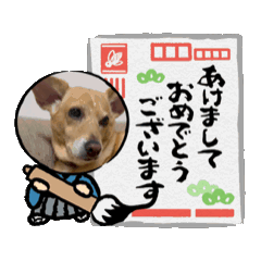 shin_20241218194611