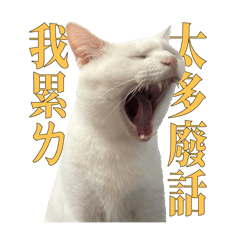 2號表情包