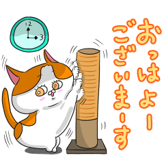 cat's feelings(nukora no kimochi)