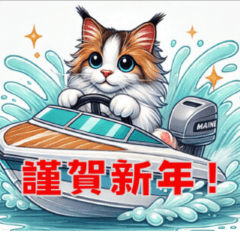 Boat Race Cat 2