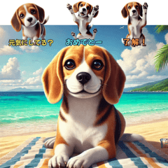 Miro the Beagle: Everyday Expressions