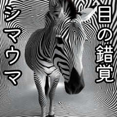 Illusory zebra