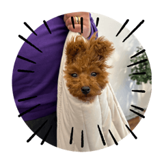 Chihiro_20241218212550