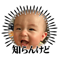 yoshi_20241218195851