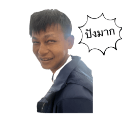 Eiei_20241218193935