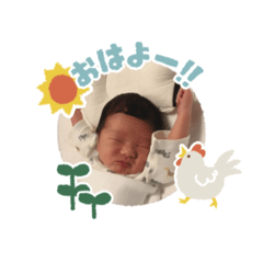 wakana_20241219002922