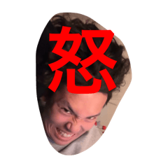 shin_20241219005746
