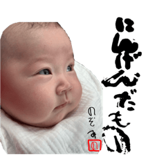 piyo_20241219112415