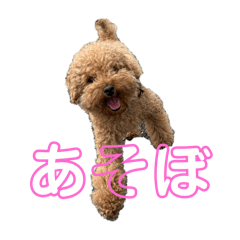 yonige_20241218213522
