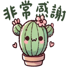 Little Fairy Cactus