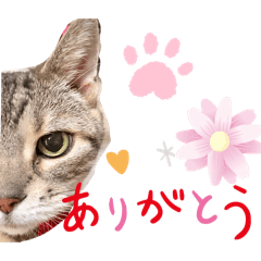 minako_20241218234139