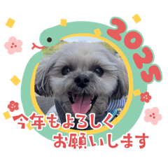 haruko_20241219133155