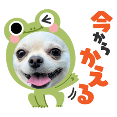 nonchan_20241219133510