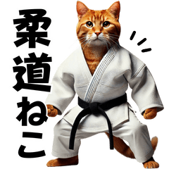 Cat Playing Judo