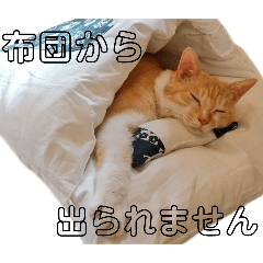 torochan stamps
