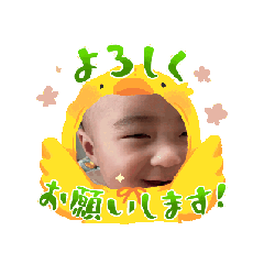 k_20241219220145