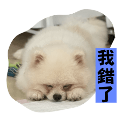 耀耀寶貝