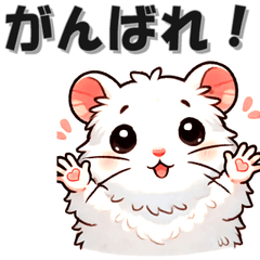 Everyday Hamster 1