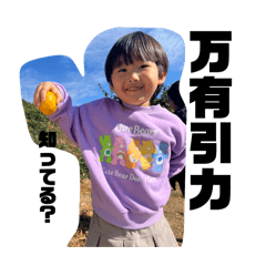 Hikari_20241219210454