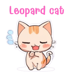 Leopard 1 cat