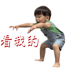 肉丸經典ღ