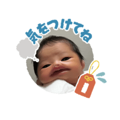 tom_20241219225508